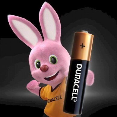 Baterijos DURACELL AAA, LR03, 12vnt 1