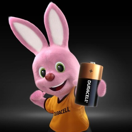 Baterijos DURACELL C, LR14, 2vnt 1
