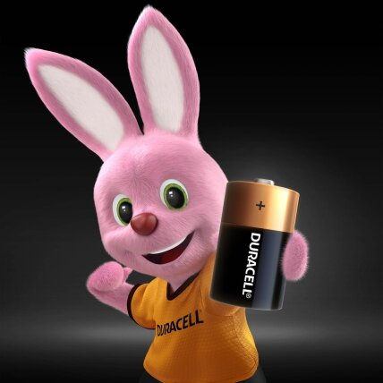 Baterijos DURACELL D, LR20, 2vnt 1 Baterijos DURACELL D, LR20, 2vnt 1