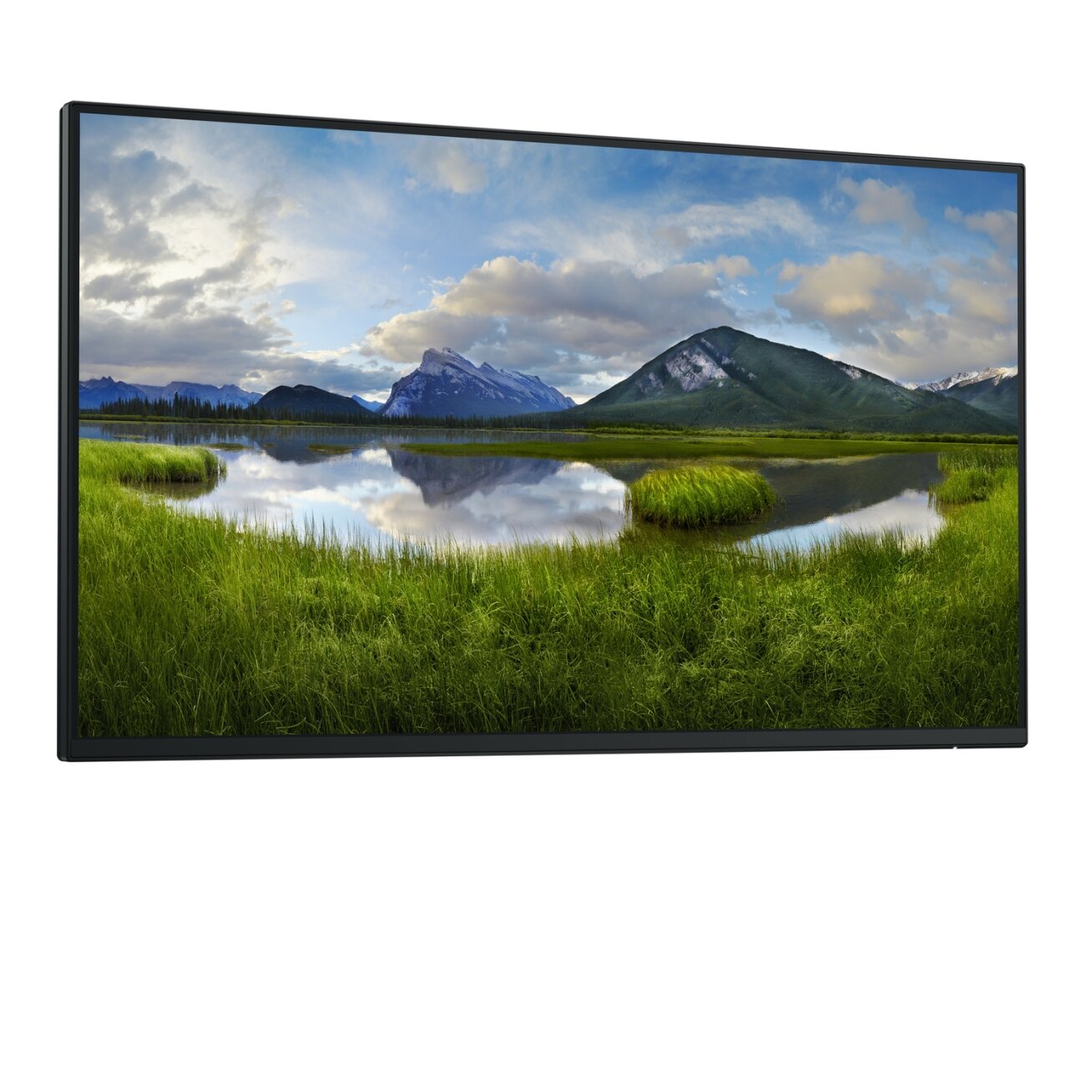 Dell 24 USB-C Hub Monitor - P2425HE, without stand, 60.5cm (23.8") 1