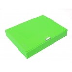 Dėklas - dėžutė dokumentams PANTA PLAST Neon, PP, A4, 55 mm, žalios sp.