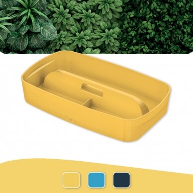 Dėžutė daiktams Cosy L:MyBox su skyriais, maža, geltonos sp. 1