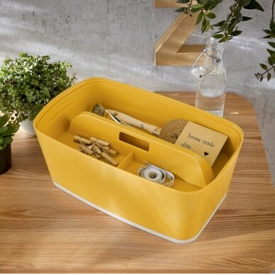 Dėžutė daiktams Cosy L:MyBox su skyriais, maža, geltonos sp. 2