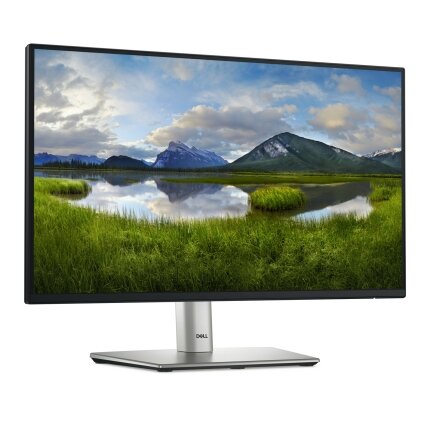 Dell 22 Monitor - P2225H, 54.6cm (21.5") 1