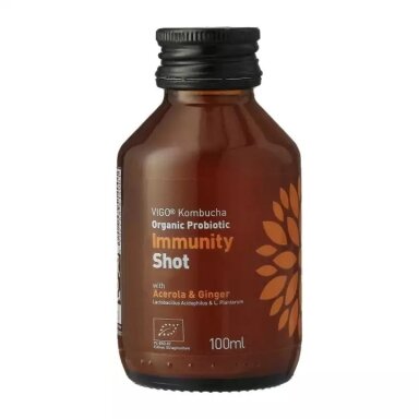 Gaivusis arbatos gėrimas VIGO Kombucha, Immunity shot, 0,1l, LT-EKO-001 Gaivusis arbatos gėrimas VIGO Kombucha, Immunity shot, 0,1l, LT-EKO-001