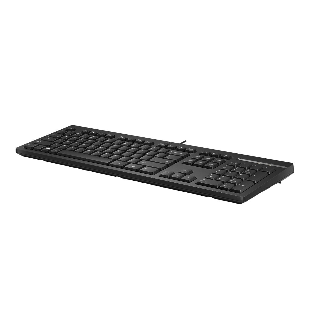 HP 125 G2 USB Wired Keyboard, Sanitizable, Copilot Key - Black - US ENG 1