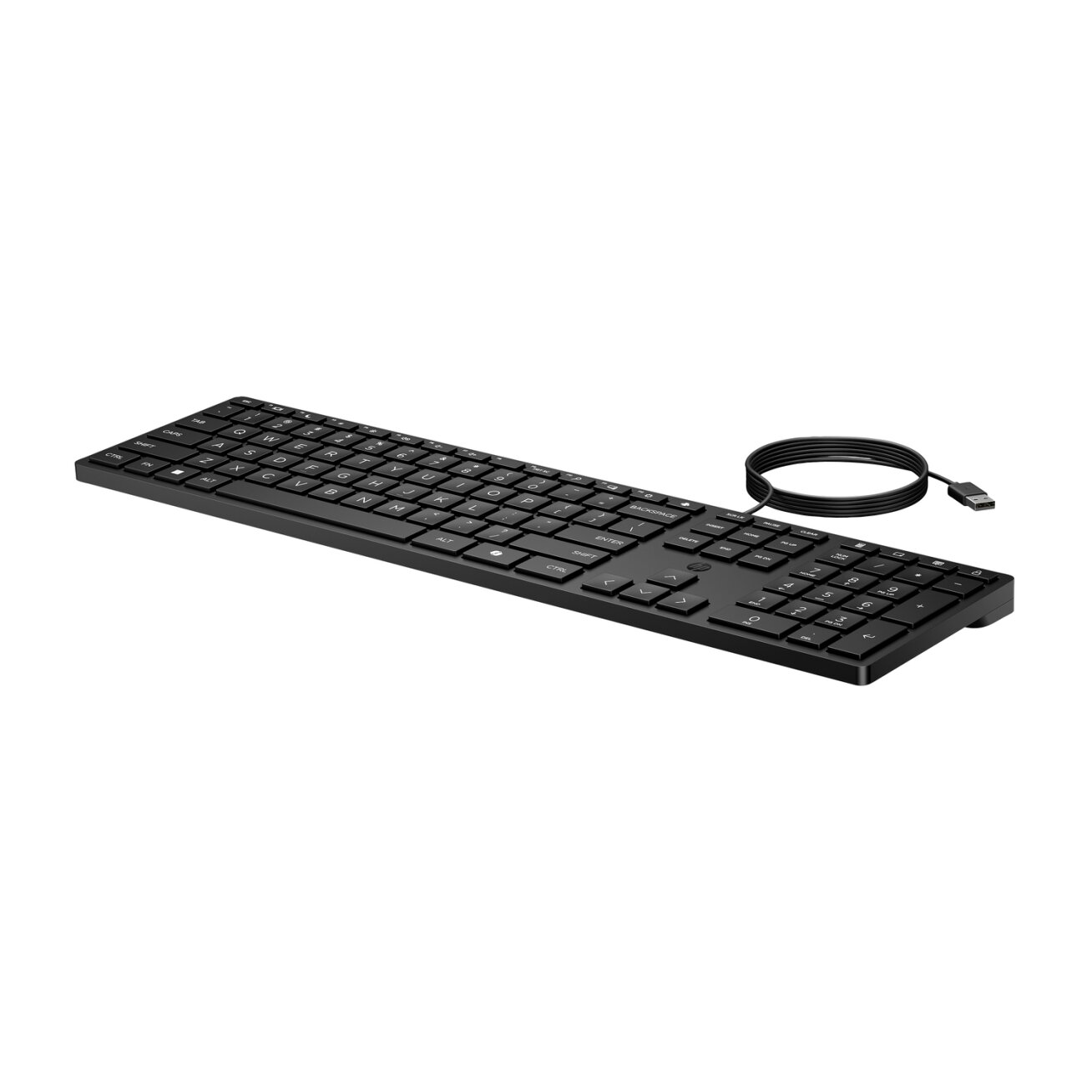 HP 320K USB Wired Keyboard - Black - EST 1
