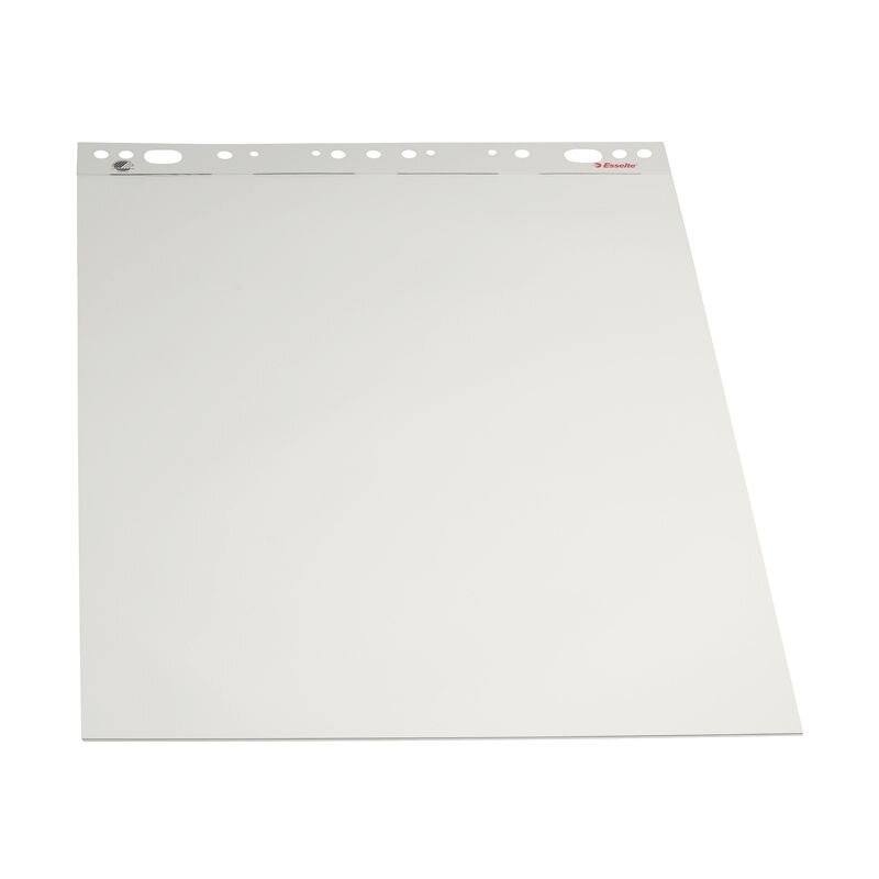 Konferencijų bloknotas ESSELTE, 590 x 830 mm, lygus, 50 lapų Konferencijų bloknotas ESSELTE, 590 x 830 mm, lygus, 50 lapų