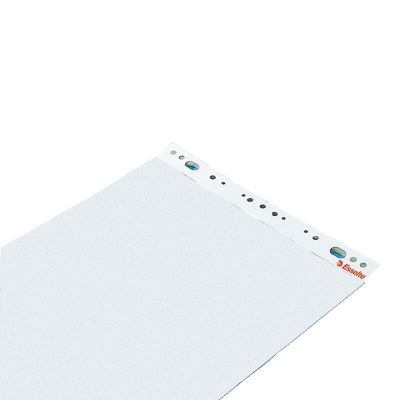 Konferencijų bloknotas ESSELTE, 590 x 830 mm, lygus, 50 lapų 1 Konferencijų bloknotas ESSELTE, 590 x 830 mm, lygus, 50 lapų 1