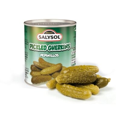 Marinuoti agurkai SALYSOL, 120g / 50g