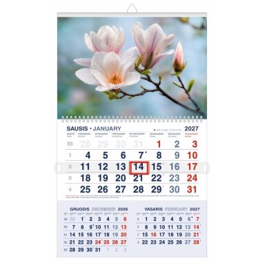Pakabinamas kalendorius MAGNOLIJŲ ŽIEDAI 2027, trys viename, 30,3 x 52 cm