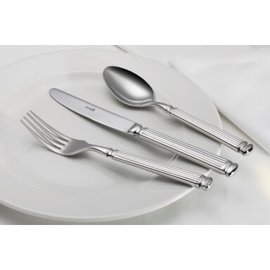 Peilis FACETTE, karštiesiems patiekalams, 18/10, L 23 cm, 12 vnt Peilis FACETTE, karštiesiems patiekalams, 18/10, L 23 cm, 12 vnt