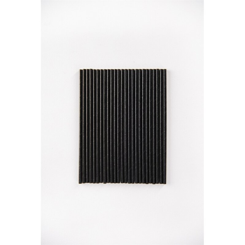 Popieriniai šiaudeliai, juodi, 6 mm, L 20 cm, 500 vnt 1