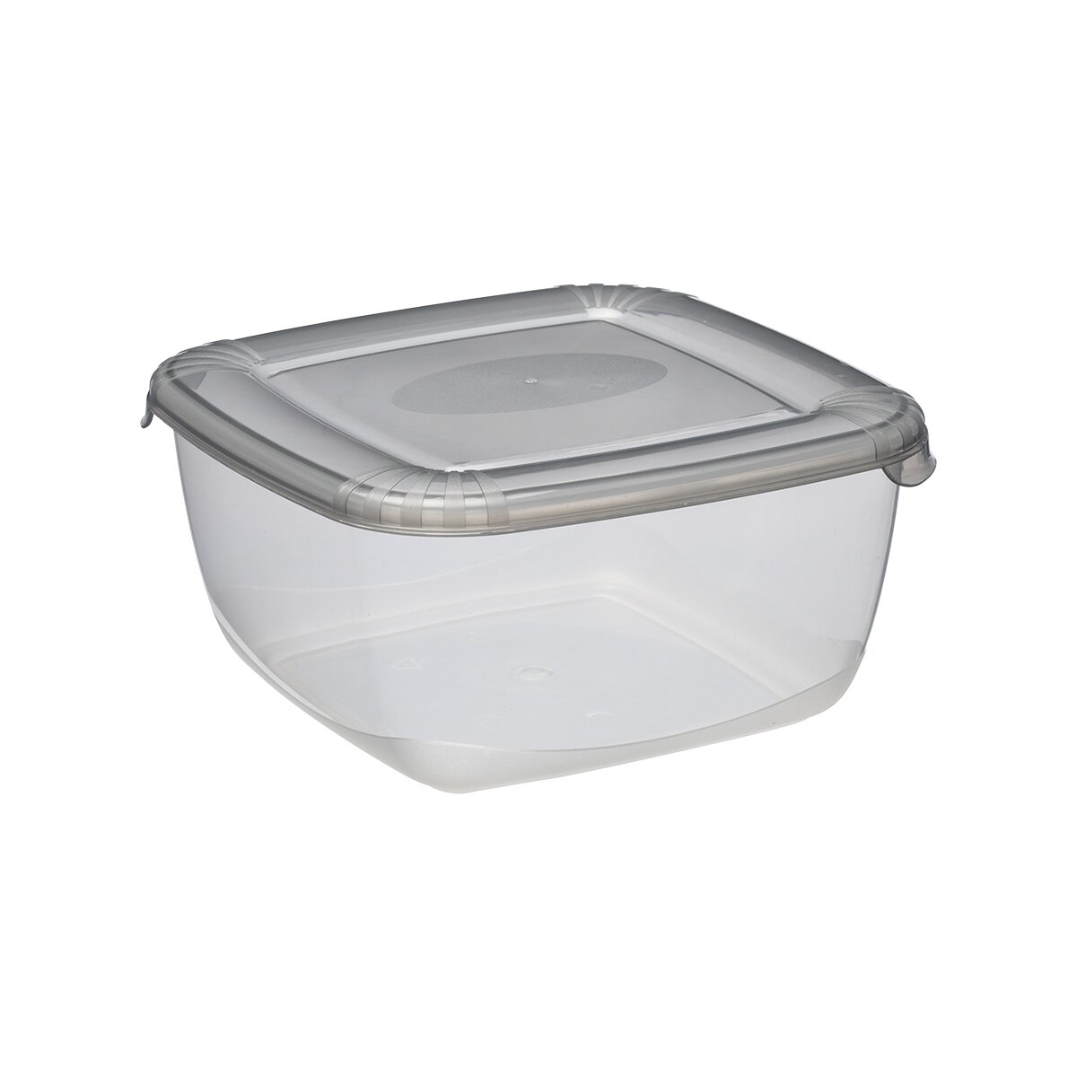 Šaldytuvo indas Polar, su dangteliu, PPR, 2,5 l, 20 x 20 cm, H 9,9 cm, vnt