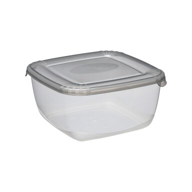 Šaldytuvo indas Polar, su dangteliu, PPR, 2,5 l, 20 x 20 cm, H 9,9 cm, vnt