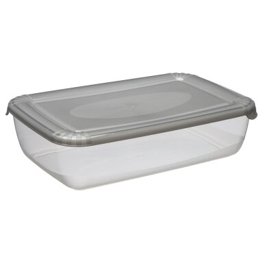 Šaldytuvo indas Polar, su dangteliu, PPR, 2,9 l, 29,3 x 19,5 cm, H 7,5 cm, vnt Šaldytuvo indas Polar, su dangteliu, PPR, 2,9 l, 29,3 x 19,5 cm, H 7,5 cm, vnt