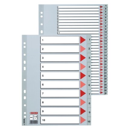 Skiriamieji lapai ESSELTE, 1-20, A4, PP Skiriamieji lapai ESSELTE, 1-20, A4, PP