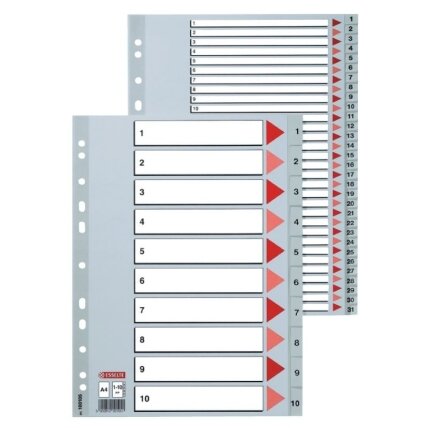 Skiriamieji lapai ESSELTE, 1-20, A4, PP Skiriamieji lapai ESSELTE, 1-20, A4, PP