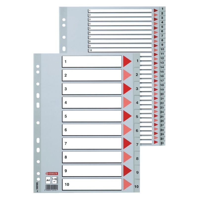 Skiriamieji lapai ESSELTE, 1-20, A4, PP Skiriamieji lapai ESSELTE, 1-20, A4, PP