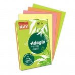 Spalvoto popieriaus rinkinys REY ADAGIO A4,80 g/m2,500 lapų, 4 ryškios spalvos po 125 lapų