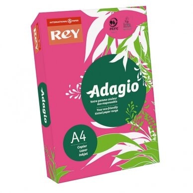 Spalvotas popierius REY ADAGIO, A4, 80 g/m2, 500 lapų, įvairių spalvų 2