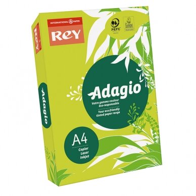 Spalvotas popierius REY ADAGIO, A4, 80 g/m2, 500 lapų, įvairių spalvų 1