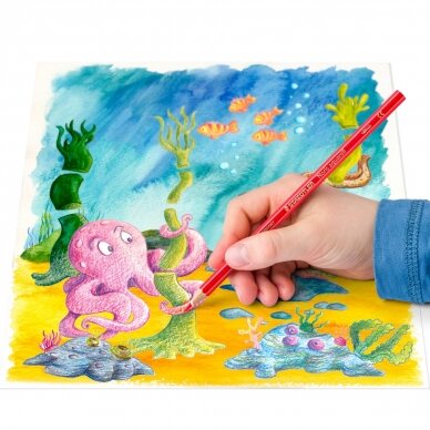 Spalvoti pieštukai akvareliniai STAEDTLER NORIS CLUB, 12 spalvų 4