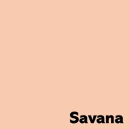 Spalvotas popierius IMAGE COLORACTION, A4, 80 gsm, 500 lapų, SAVANA / PALE SALMON 1