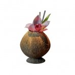 Stiklinė Coconut, kokoso kevalas, D 9 cm, H 13 cm, vnt