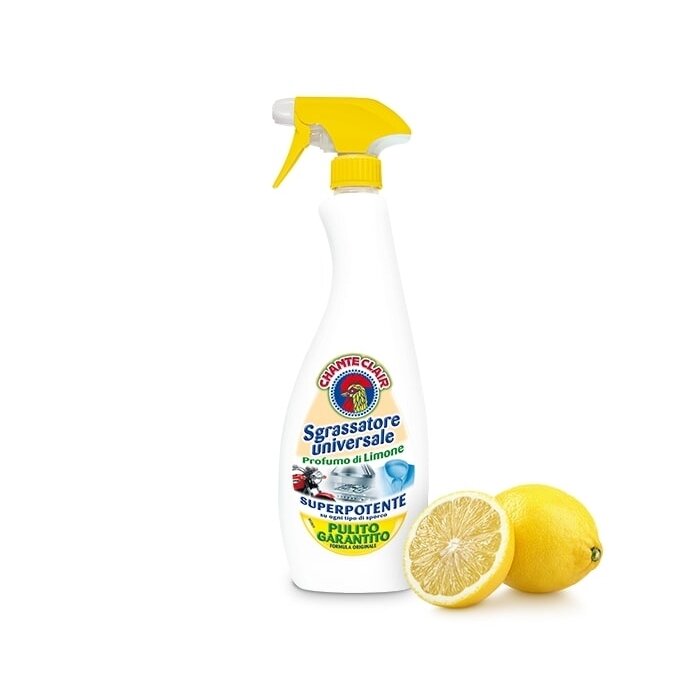 Universalus valiklis CHANTE CLAIR, citrinos kvapo, 600ml 1
