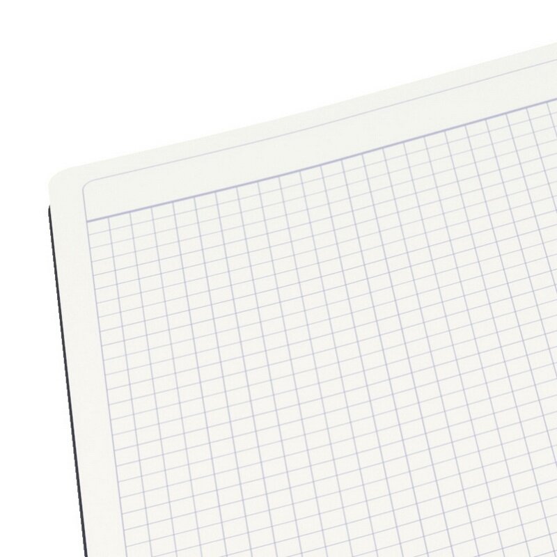 Užrašų knygelė LEITZ COMPLETE Ipad dydžio, 80 lapų, langeliais 2