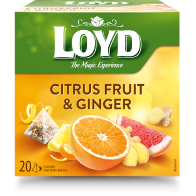 Vaisių ir žolelių arbata LOYD, imbiero ir citrusinių vaisių skonio, 20 x 2g Vaisių ir žolelių arbata LOYD, imbiero ir citrusinių vaisių skonio, 20 x 2g