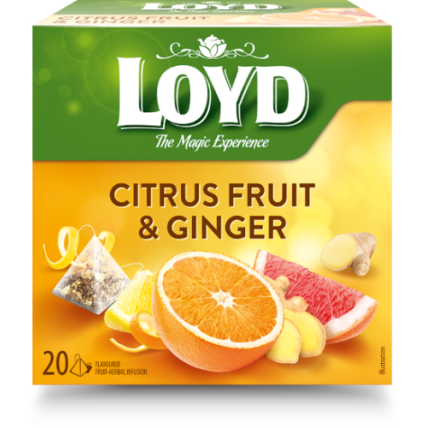 Vaisių ir žolelių arbata LOYD, imbiero ir citrusinių vaisių skonio, 20 x 2g Vaisių ir žolelių arbata LOYD, imbiero ir citrusinių vaisių skonio, 20 x 2g